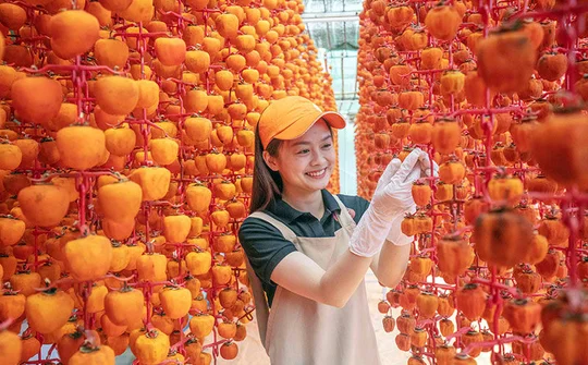 Lấy nông dân làm trung tâm