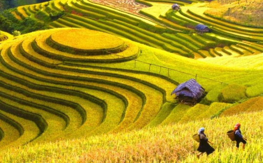 Hà Giang tổ chức trực tuyến chương trình du lịch Hoàng Su Phì