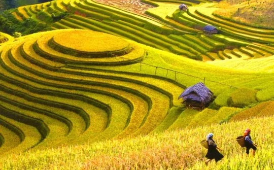 Hà Giang tổ chức trực tuyến chương trình du lịch Hoàng Su Phì