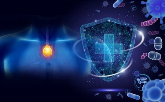 Tầm quan trọng của hệ miễn dịch đối với cơ thể con người