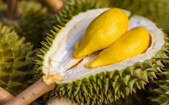 "Bỏ sỉ" sầu riêng Đắk Lắk trên sàn thương mại điện tử