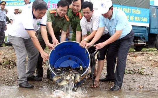 Huyện Kim Sơn (Ninh Bình): Tăng cường công tác bảo vệ, tái tạo nguồn lợi thuỷ sản