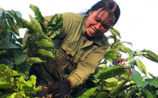 Vốn tín dụng chính sách về với hộ nghèo vùng biên giới trong mùa dịch