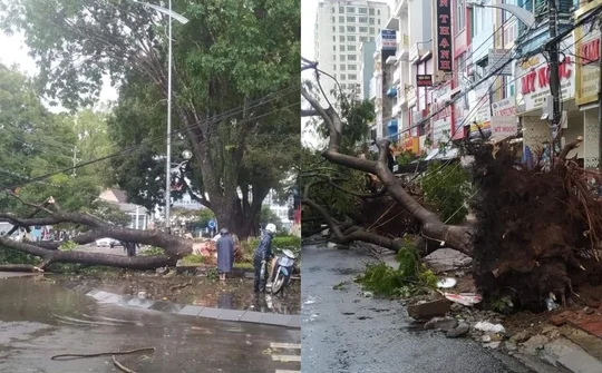 Pleiku (Gia Lai): Mưa lớn, làm nhiều phương tiện hư hỏng