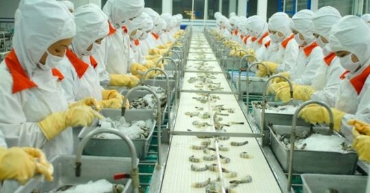 Đưa Việt Nam trở thành trung tâm chế biến thủy sản hàng đầu thế giới vào năm 2030