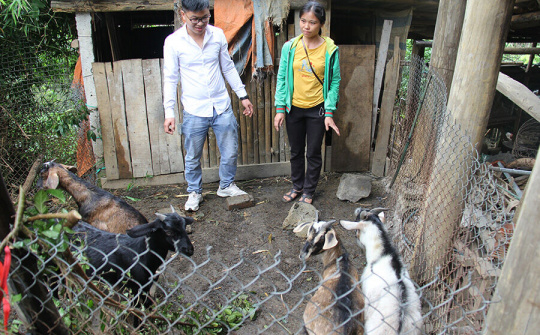 Chuyện làm kinh tế hợp tác xã ở Hòa Bình (Bài 1): Bỏ phố về quê làm HTX