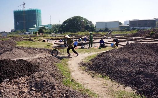 Thống nhất phương án bảo tồn di chỉ khảo cổ Vườn Chuối