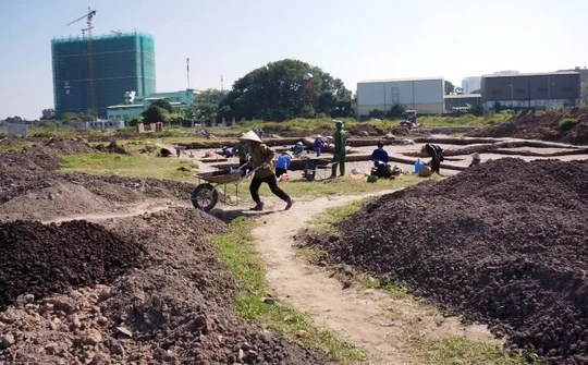 Thống nhất phương án bảo tồn di chỉ khảo cổ Vườn Chuối