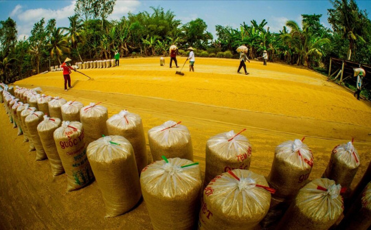 Cơ hội để gạo Việt Nam tiếp tục chinh phục thị trường Australia