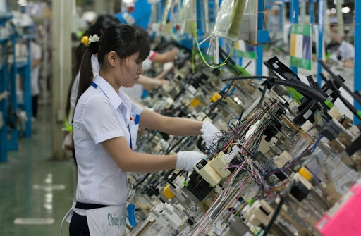 Viet Nam, India promote collaboration in developing innovative startup ecosystem