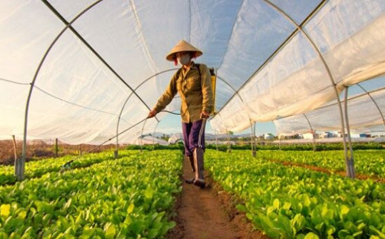 Tổng kết 20 năm đổi mới, phát triển kinh tế tập thể một cách khẩn trương, nghiêm túc