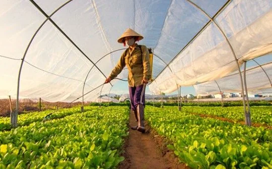 Tổng kết 20 năm đổi mới, phát triển kinh tế tập thể một cách khẩn trương, nghiêm túc