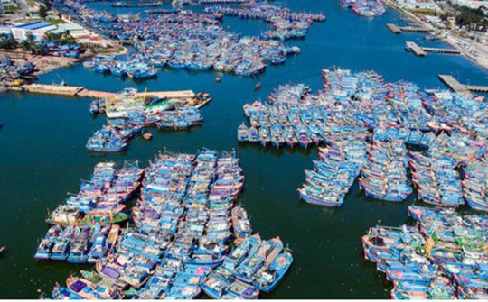 Đẩy nhanh tiến độ xây dựng đề án quy hoạch ngành nông nghiệp