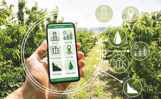 Nam Định nỗ lực chuyển đổi số trong lĩnh vực nông nghiệp