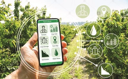 Nam Định nỗ lực chuyển đổi số trong lĩnh vực nông nghiệp