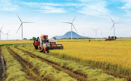 Ninh Thuận: Quyết tâm hoàn thành kế hoạch phát triển KT-XH 5 năm giai đoạn 2021-2025