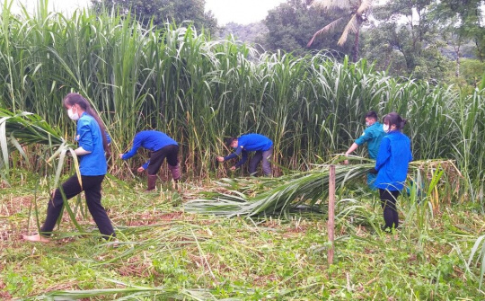 Đắk Lắk: Đoàn Thanh niên chung tay giúp đỡ bà con buôn làng