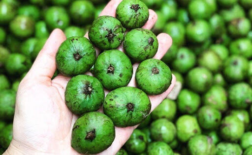 Sấu đông lạnh của Việt Nam lần đầu sang Australia