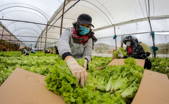 Lâm Đồng: Ước tổng thu ngân sách nhà nước đạt hơn 7.223 tỷ, đạt 90% dự toán Trung ương