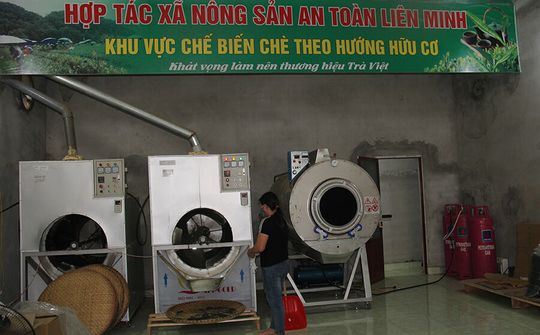 Phát triển KTHT, HTX trong vùng đồng bào dân tộc thiểu số (Bài 1): Điểm tựa cho phụ nữ vùng dân tộc