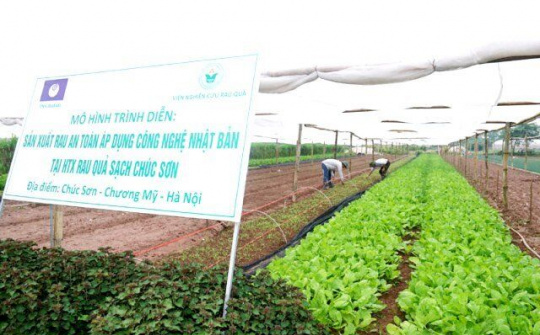 Hà Nội: Phát huy vai trò của hợp tác xã để thúc đẩy Chương trình OCOP