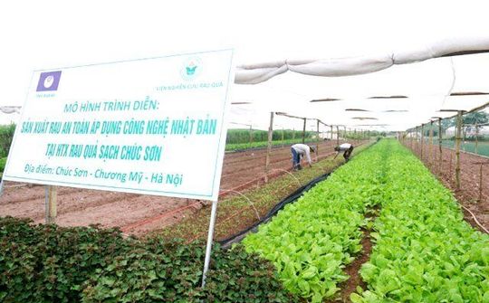 Hà Nội: Phát huy vai trò của hợp tác xã để thúc đẩy Chương trình OCOP
