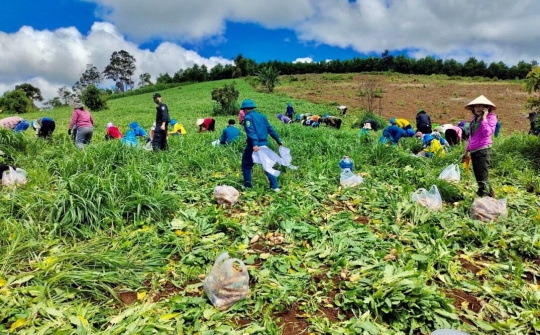 Đắk Nông: Triệu phần quà, chia sẻ yêu thương