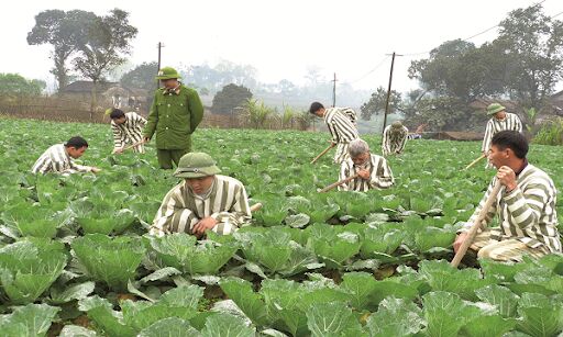 Hơn 3000 phạm nhân được đặc xá nhân dịp Quốc khánh 2/9