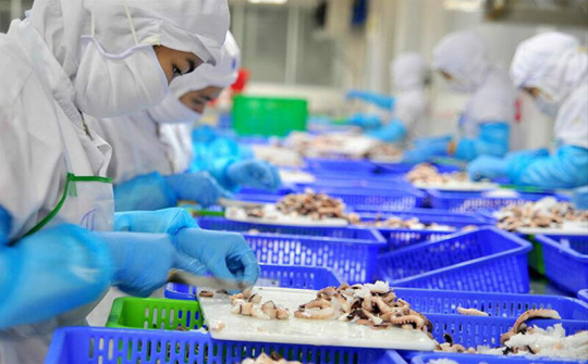 VASEP cảnh báo nguy cơ gãy đổ chuỗi sản xuất, xuất khẩu thủy sản