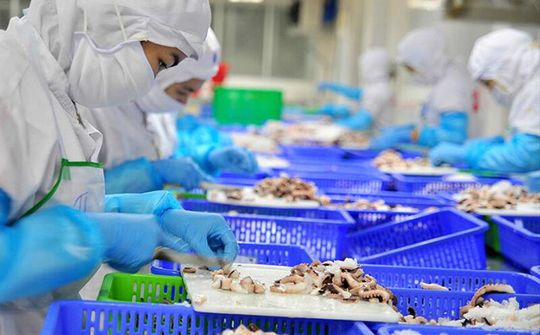 VASEP cảnh báo nguy cơ gãy đổ chuỗi sản xuất, xuất khẩu thủy sản