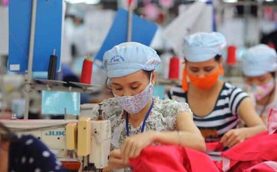 Một năm “quả ngọt” từ EVFTA