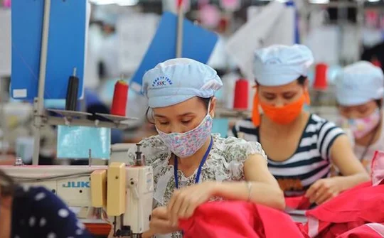 Một năm “quả ngọt” từ EVFTA