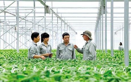 Hướng đến Tổng kết 20 năm thực hiện Nghị quyết số 13-NQ/TW đổi mới, phát triển kinh tế tập thể