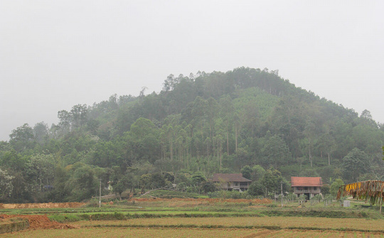 Phát triển KTHT, HTX trong vùng đồng bào dân tộc thiểu số (Bài 2): Giữ rừng nhờ HTX