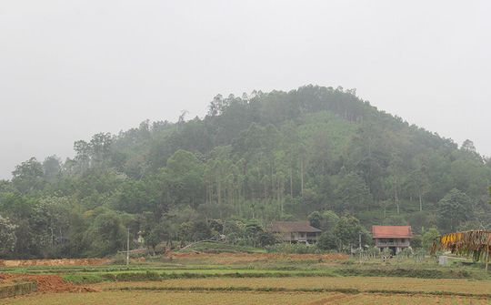 Phát triển KTHT, HTX trong vùng đồng bào dân tộc thiểu số (Bài 2): Giữ rừng nhờ HTX