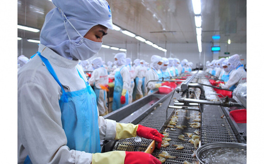 Xuất khẩu tôm dè chừng Covid-19