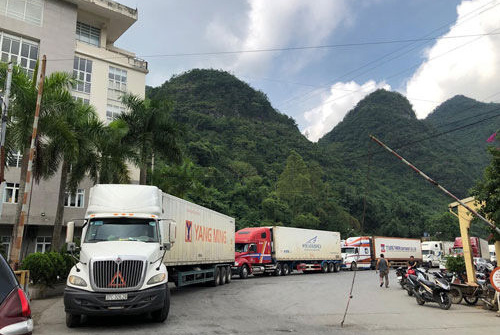 Bộ Nông nghiệp và Phát triển Nông thôn tháo gỡ rào cản hàng xuất khẩu