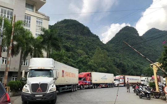 Bộ Nông nghiệp và Phát triển Nông thôn tháo gỡ rào cản hàng xuất khẩu