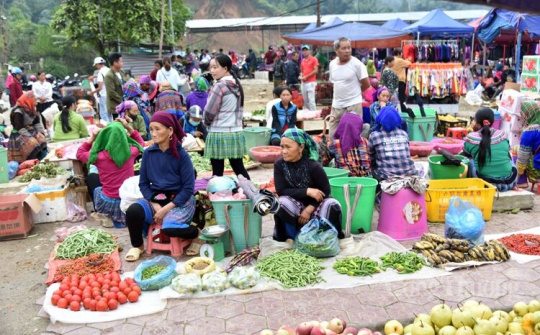Lào Cai: Dừng hoạt động một số Chợ trên địa bàn để phòng, chống dịch Covid-19