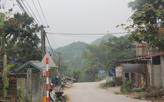 Phát triển KTHT, HTX trong vùng đồng bào dân tộc thiểu số (Bài cuối): Sự vào cuộc của cả hệ thống chính trị