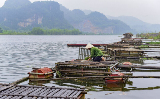 Thanh Hóa: Chủ động bảo vệ nuôi trồng thủy sản lồng bè trong mùa mưa bão