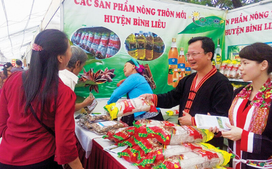 Huyện Bình Liêu: Đẩy mạnh xây dựng thương hiệu sản phẩm OCOP