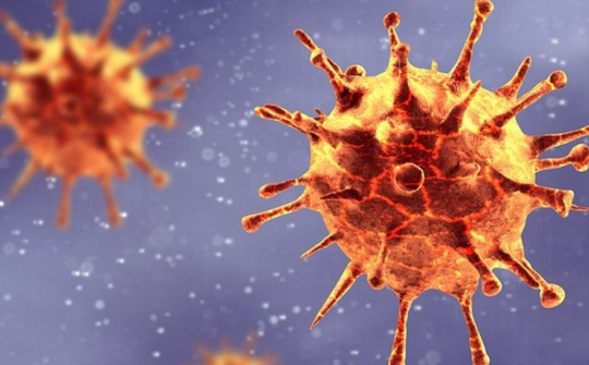 WHO dự định đặt tên biến thể SARS-CoV-2 theo chòm sao