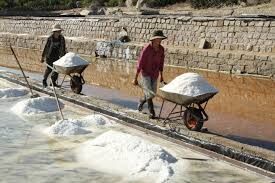 Ninh Thuận: Ngành Nông nghiệp đang phát triển, đổi mới đúng hướng