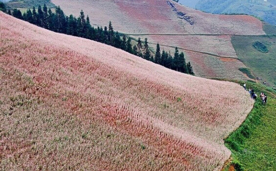 Si Ma Cai – Những mùa về nơi miền đất biên cương