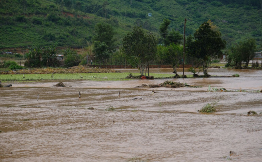 Lâm Đồng: Một số địa phương, khu vực trên địa bàn tỉnh có nguy cơ cao lũ quét, sạt lở đất và ngập cục bộ