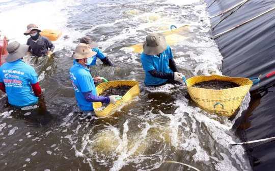 Kết nối cung-cầu thực phẩm cho TP Hồ Chí Minh
