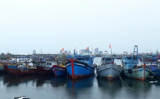 TP Đà Nẵng: Kêu gọi, hướng dẫn và đưa tất cả các tàu, thuyền đến nơi trú bão an toàn