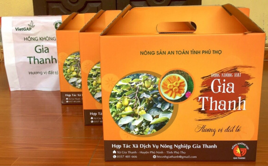 Hồng không hạt Gia Thanh - Đặc sản miền đất Tổ