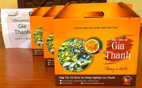 Hồng không hạt Gia Thanh - Đặc sản miền đất Tổ